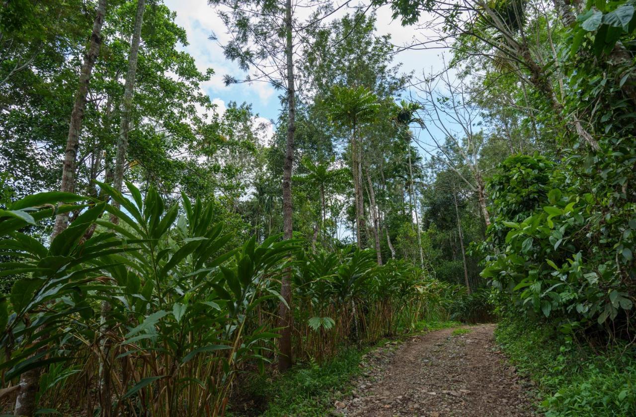 Ferienwohnung Mystic Trees, Kumily Thekkady Exterior foto