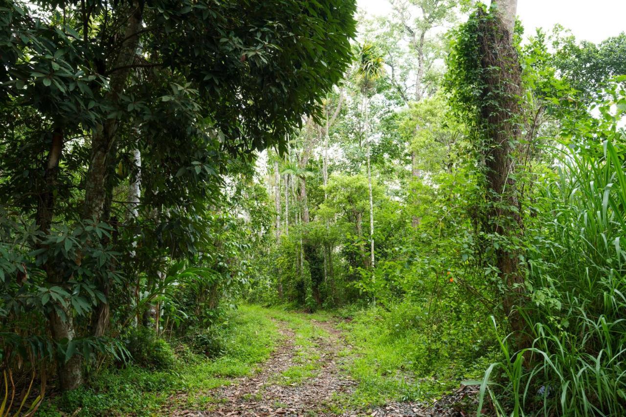 Ferienwohnung Mystic Trees, Kumily Thekkady Exterior foto