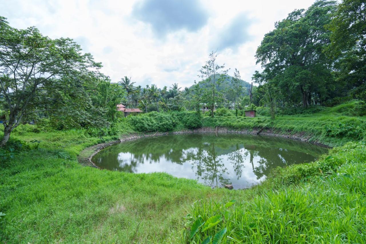 Ferienwohnung Mystic Trees, Kumily Thekkady Exterior foto